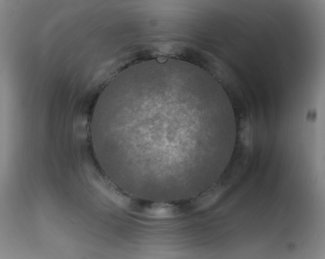 X0000112970514200908271145