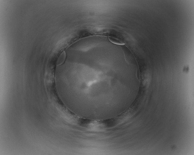 X0000112970515200908271145