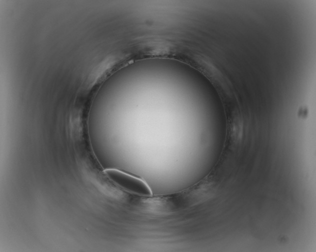 X0000112970516200908271145