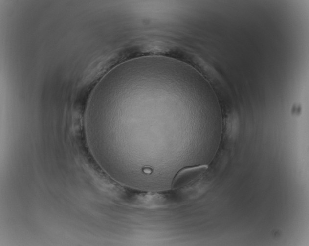 X0000112970517200908271145