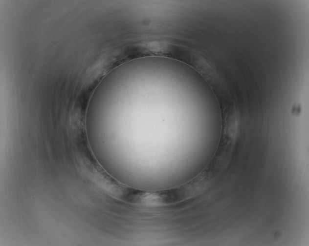 X0000112970518200908271145