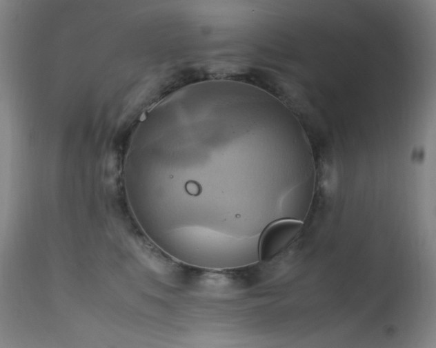 X0000112970519200908271145