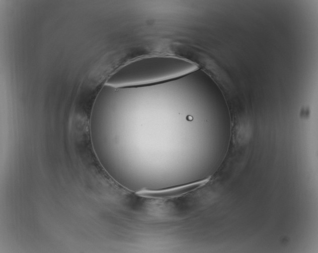 X0000112970521200908271145