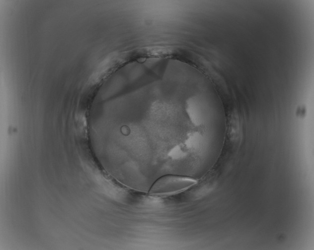 X0000112970523200908271145