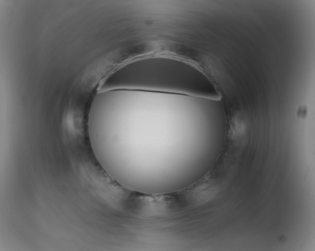 X0000112970524200908271145