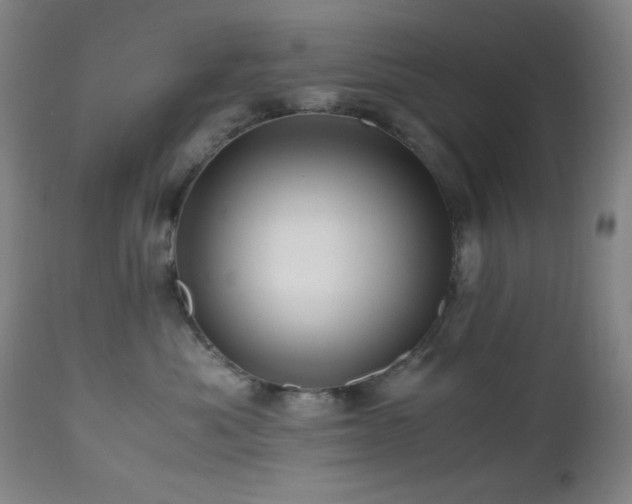 X0000112970525200908271145