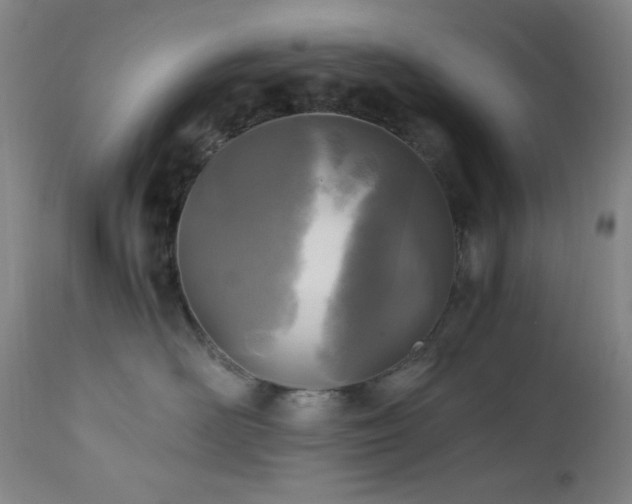 X0000112970526200908271145