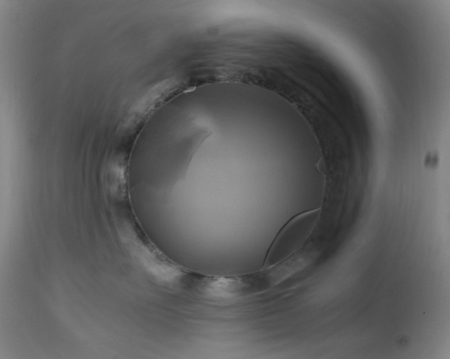 X0000112970527200908271145