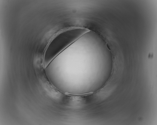 X0000112970528200908271145