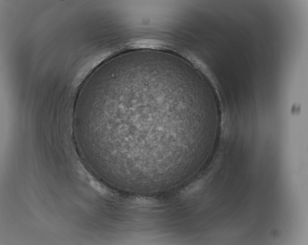 X0000112970529200908271144