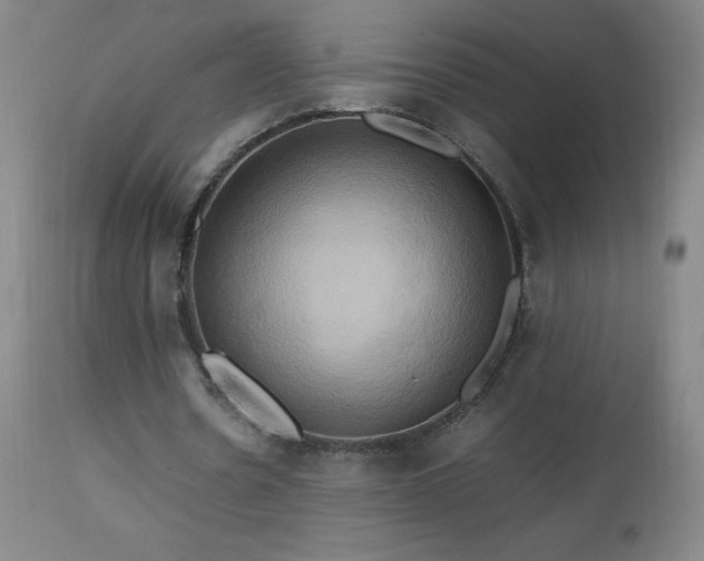 X0000112970530200908271144