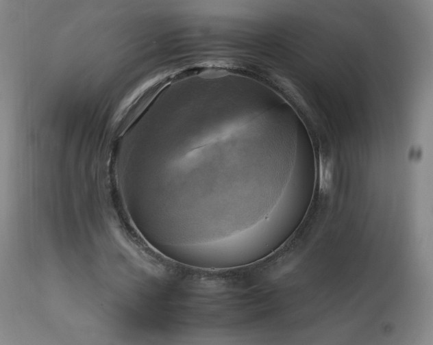 X0000112970531200908271144