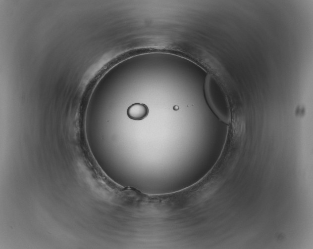 X0000112970532200908271144