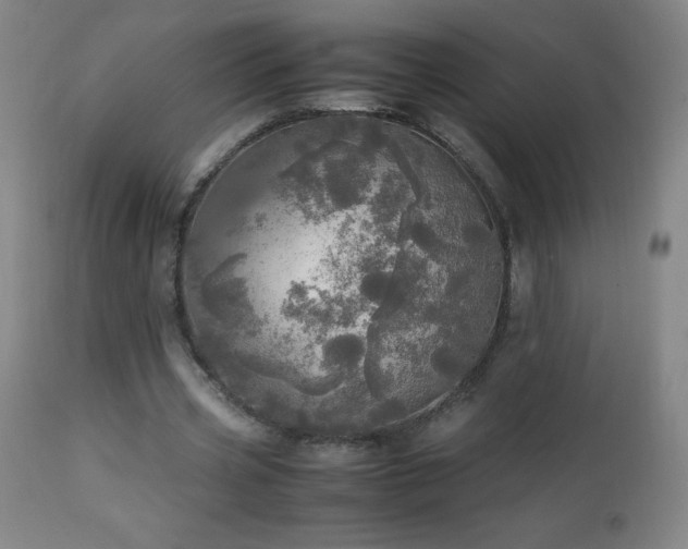 X0000112970533200908271144