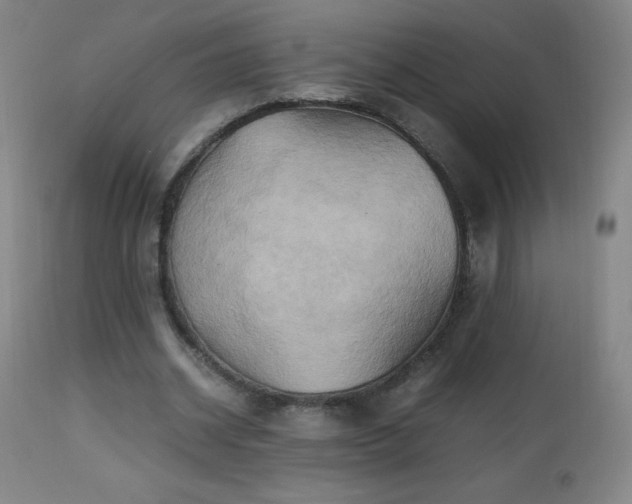 X0000112970534200908271144