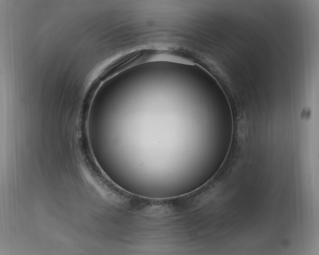 X0000112970536200908271144