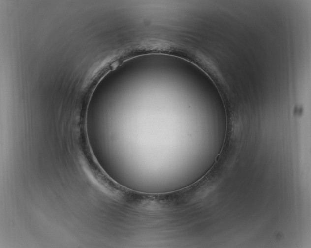 X0000112970538200908271144