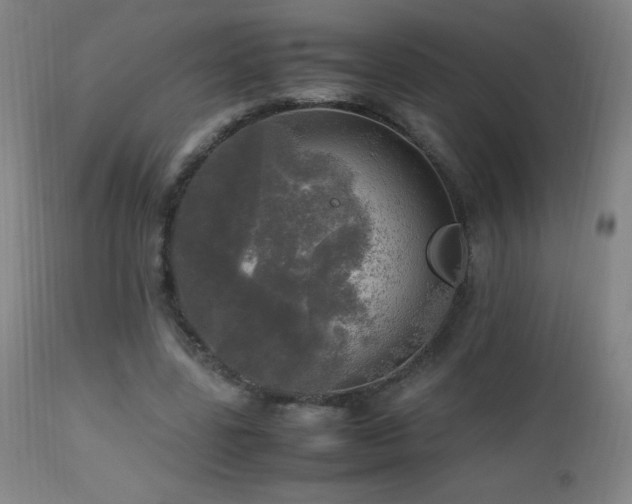 X0000112970539200908271144