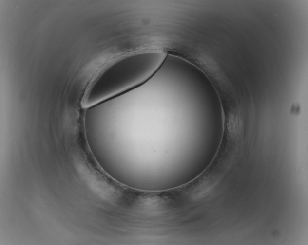 X0000112970540200908271144