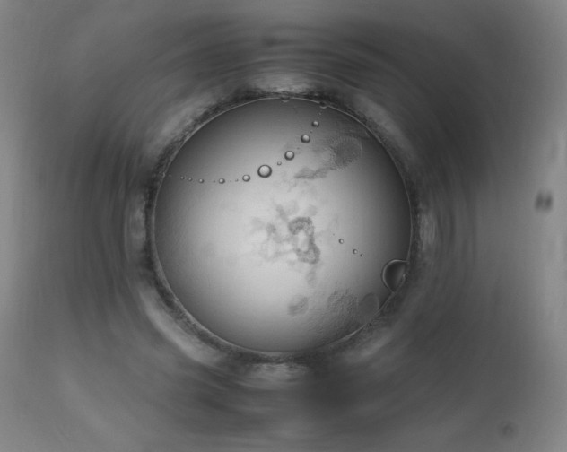 X0000112970541200908271144