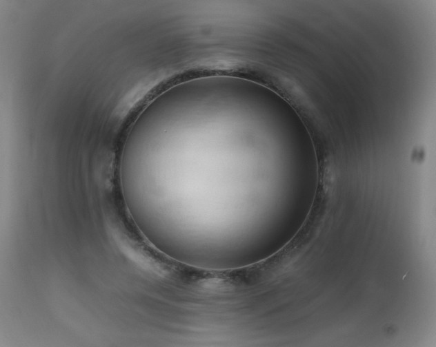 X0000112970544200908271144