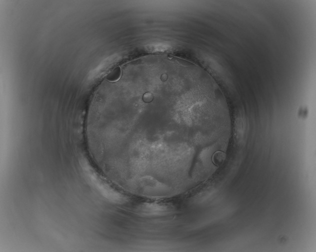 X0000112970545200908271144