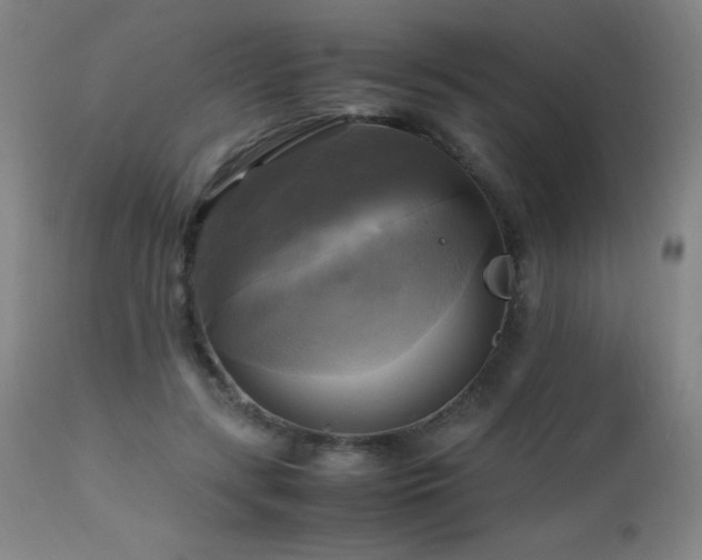 X0000112970547200908271144