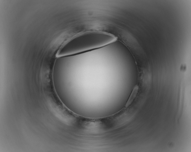 X0000112970548200908271145