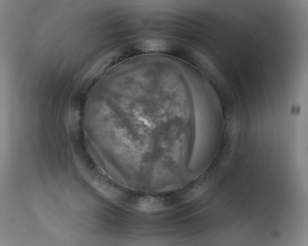 X0000112970549200908271145