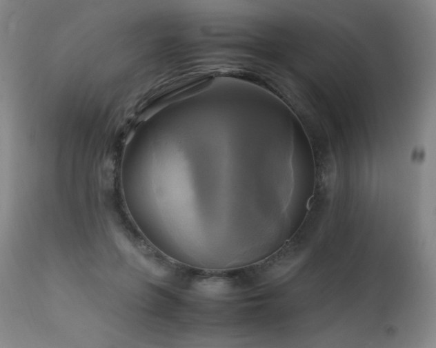 X0000112970551200908271145