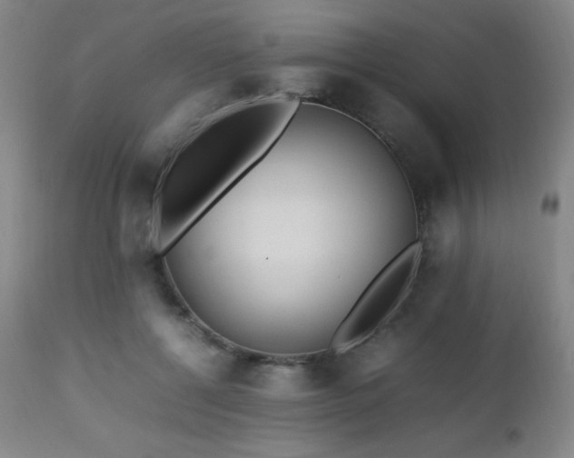 X0000112970552200908271145