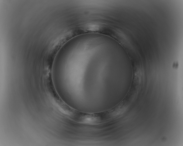 X0000112970555200908271145