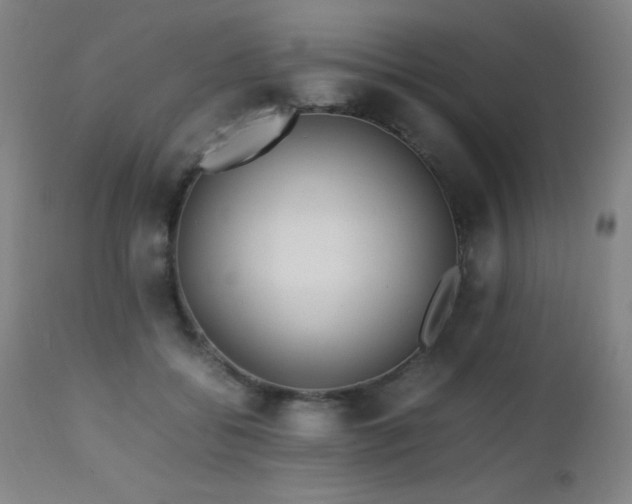 X0000112970556200908271145