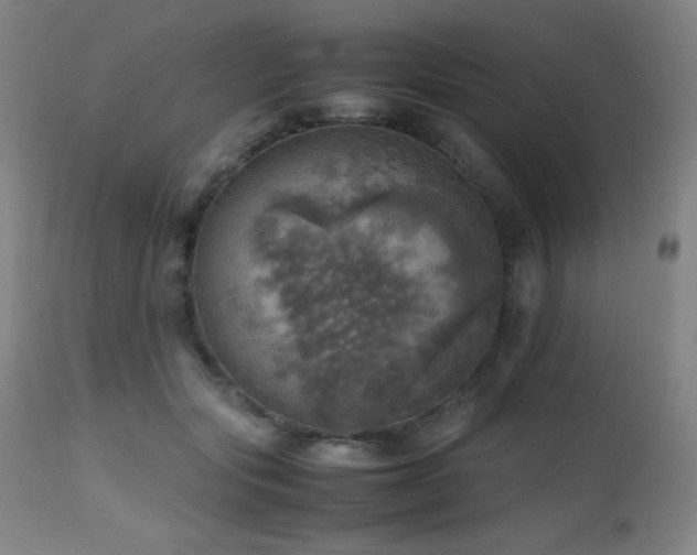 X0000112970557200908271145