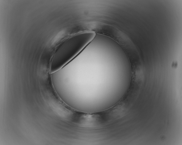 X0000112970558200908271145