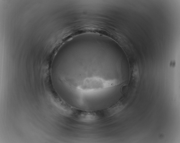 X0000112970559200908271145