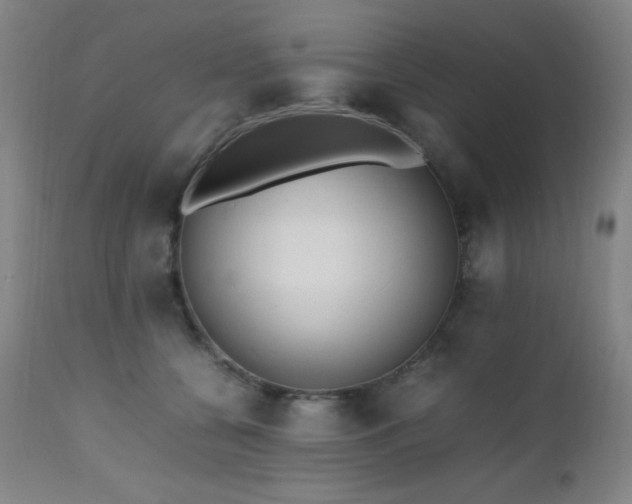 X0000112970560200908271145