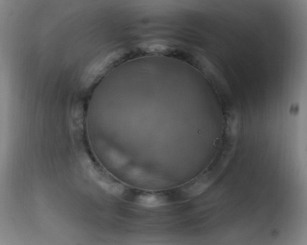 X0000112970561200908271145