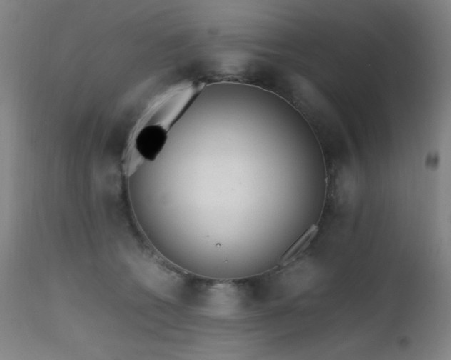 X0000112970562200908271145