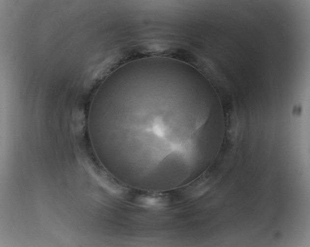 X0000112970563200908271145