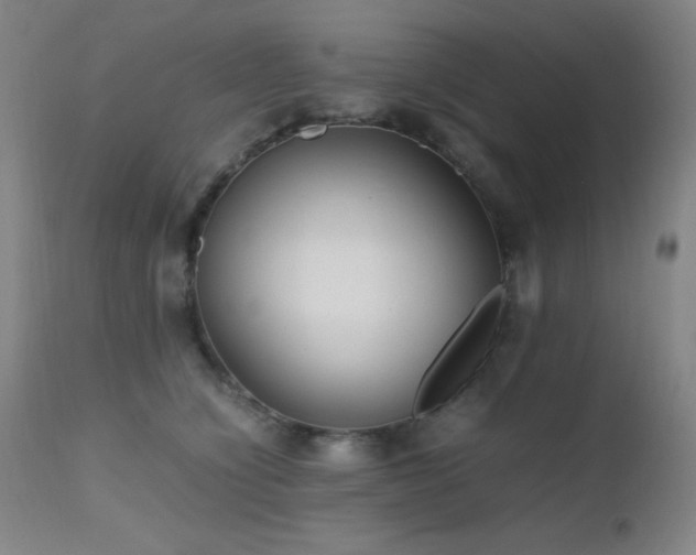 X0000112970564200908271145