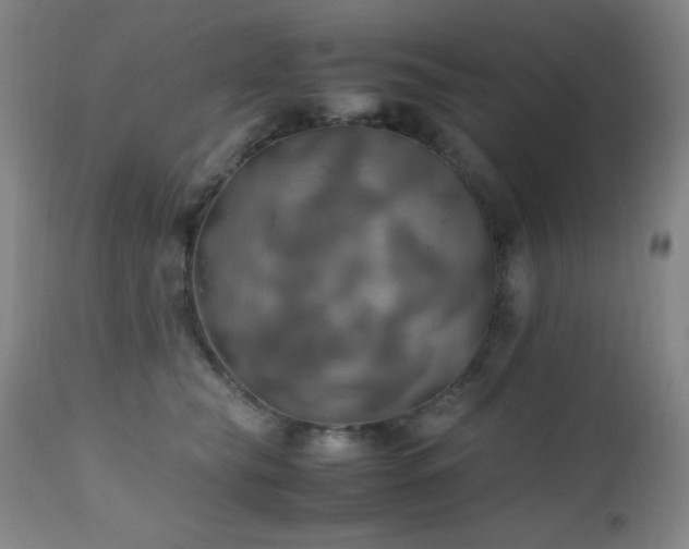 X0000112970565200908271145