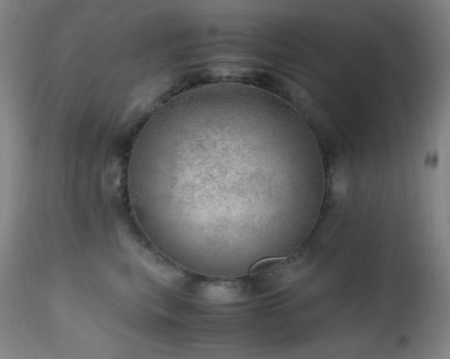 X0000112970567200908271145