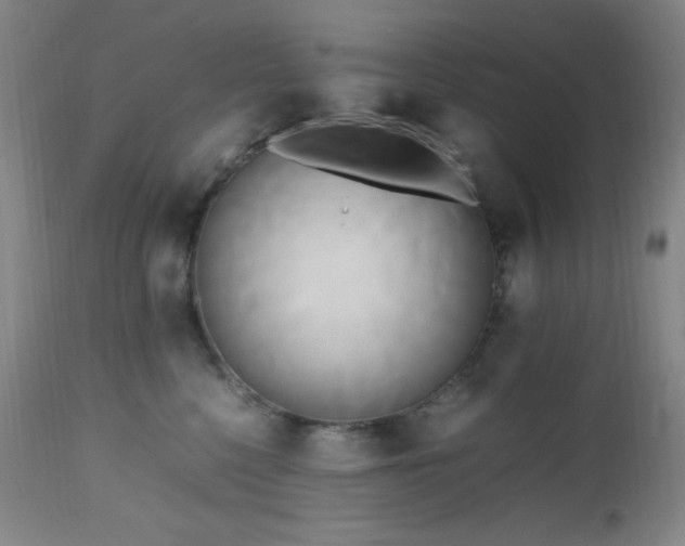 X0000112970568200908271145