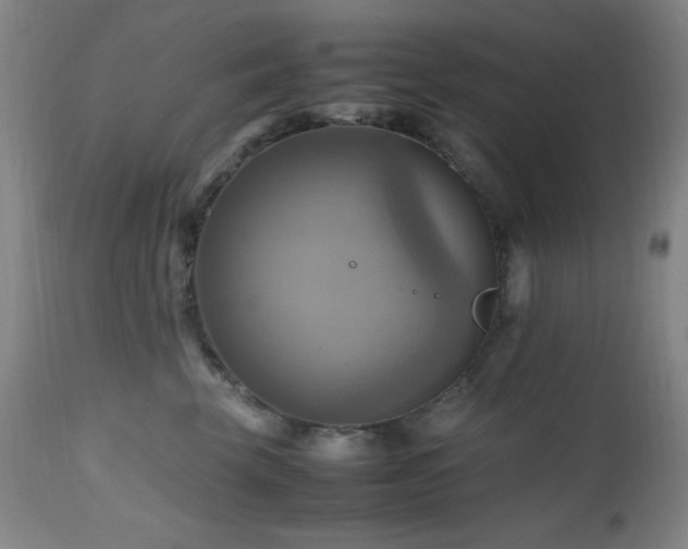 X0000112970569200908271145