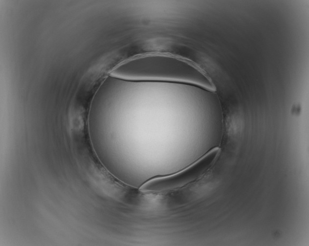 X0000112970570200908271145