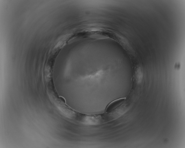 X0000112970571200908271145