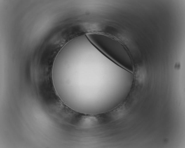 X0000112970572200908271145