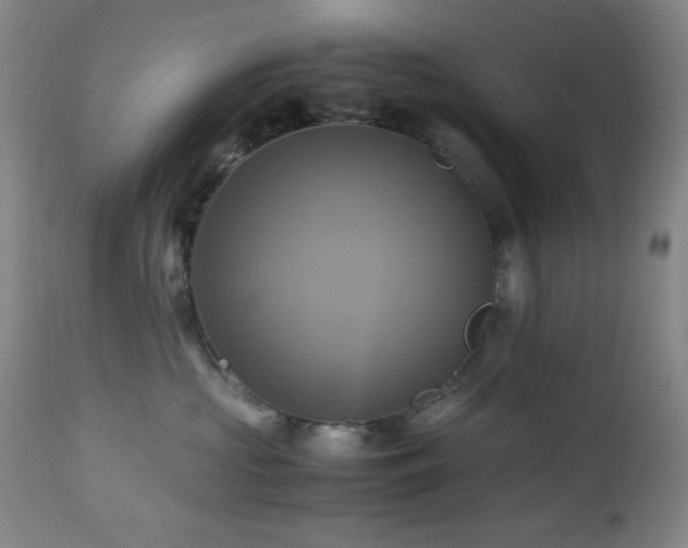 X0000112970573200908271145