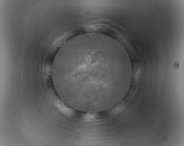 X0000112970574200908271145